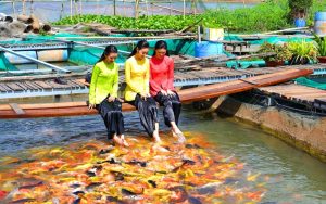 Côn Son, eine ruhige Insel, die man in Can Tho unbedingt entdecken sollte