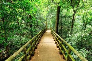 Cuc Phuong Nationalpark