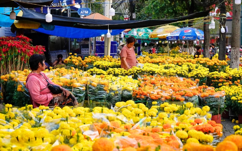 Marchés de Can Tho regorgent de fleurs pendant le Têt