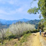 di thang bac ha vietnam