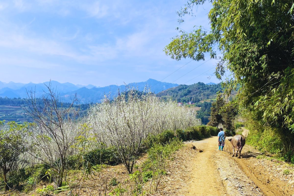 di thang bac ha vietnam