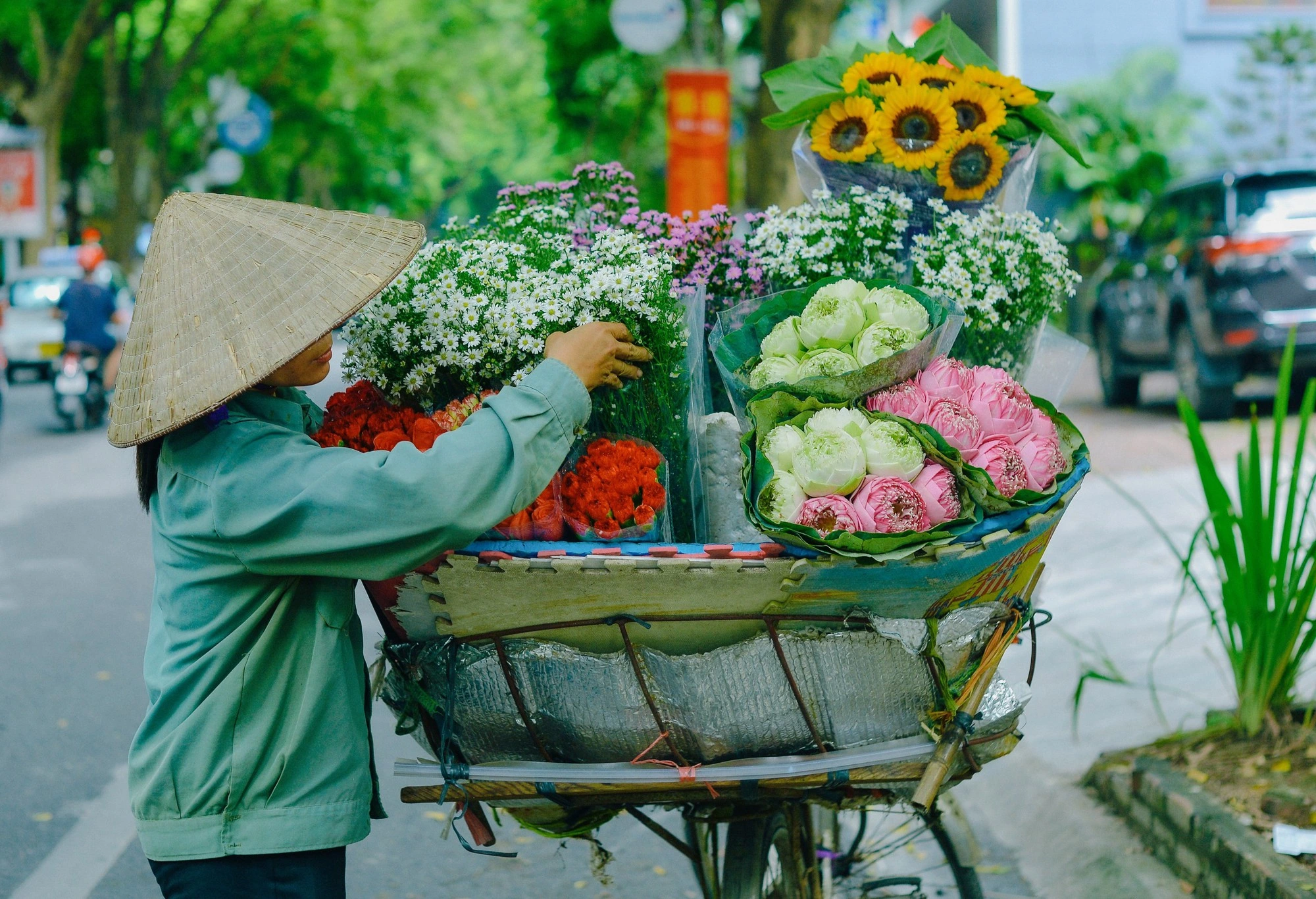 hanoi-vietnam-les-fleuris