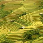 nam-cang-sapa-vietnam