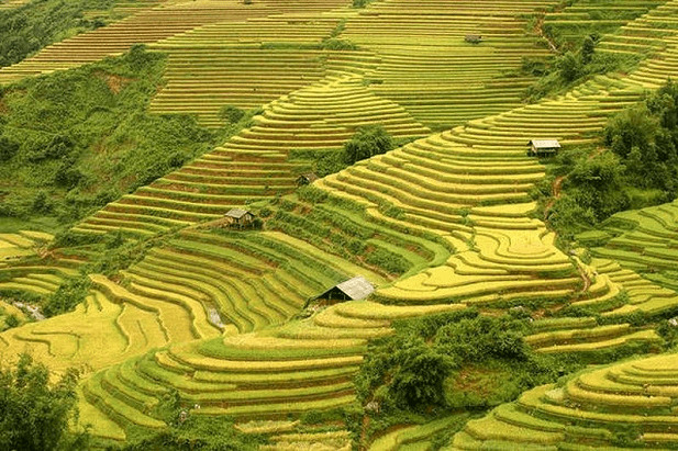nam-cang-sapa-vietnam
