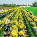 Sa Dec im Mekong-Delta, Vietnam - Reise