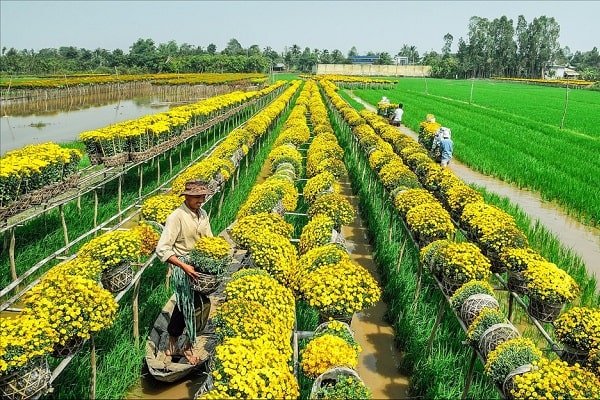 Sa Dec im Mekong-Delta, Vietnam - Reise