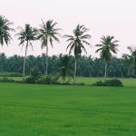 vung-liem-vinh-long-mekong-vietnam-voyage