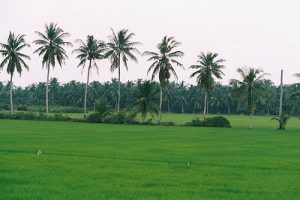 vung-liem-vinh-long-mekong-vietnam-voyage