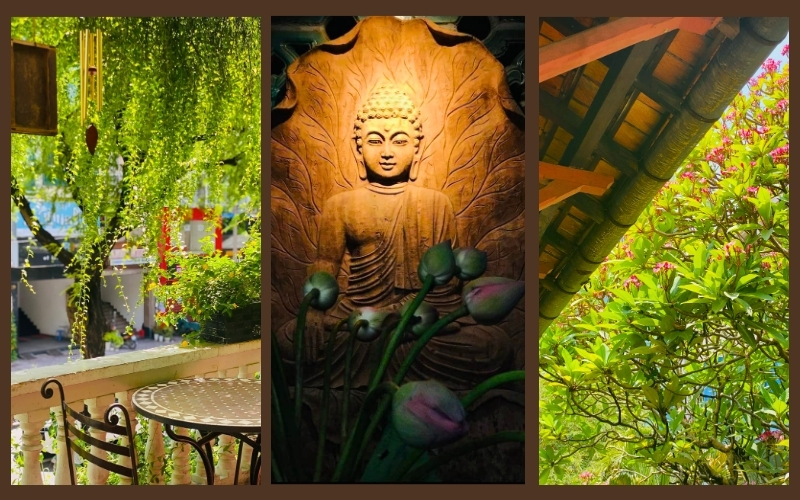 L’espace de Bông Súng est imprégné de verdure, offrant un environnement apaisant et naturel