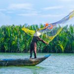 kokosnusswald-hoi-an-vietnam