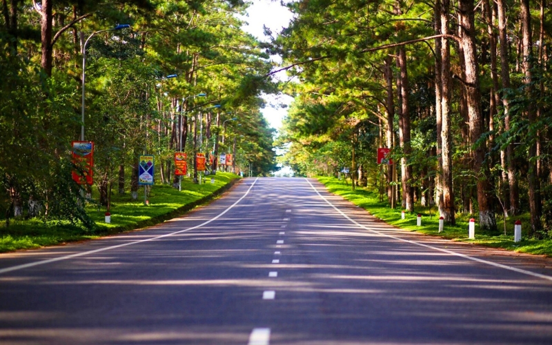 Mang Den - Petit Dalat