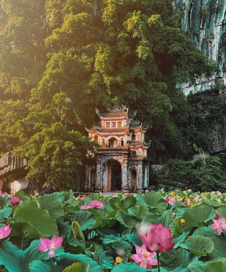 Que faire à Ninh Binh ? Top 6 des activités incontournables
