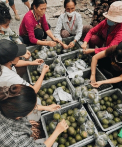 Kapitel 5: Horizon Vietnam Travel an der Seite der Patienten des Hämatologie-Instituts in Hanoi – Solidarische Aktion am 29. Oktober 2025