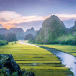Cuc Phuong Ninh Binh