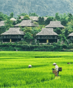 Visiter Mai Chau en 2 jours : randonnée, culture locale et hébergement chez l’habitant