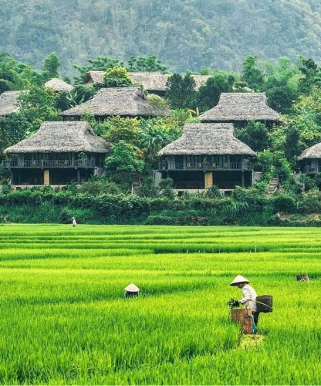 Visiter Mai Chau en 2 jours : randonnée, culture locale et hébergement chez l’habitant
