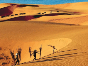 Top 10 Aktivitäten in Mui Ne, Vietnam