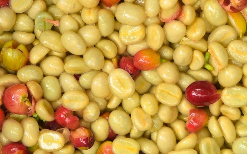 Cette méthode produit un café fin, uniforme et recherché sur le marché