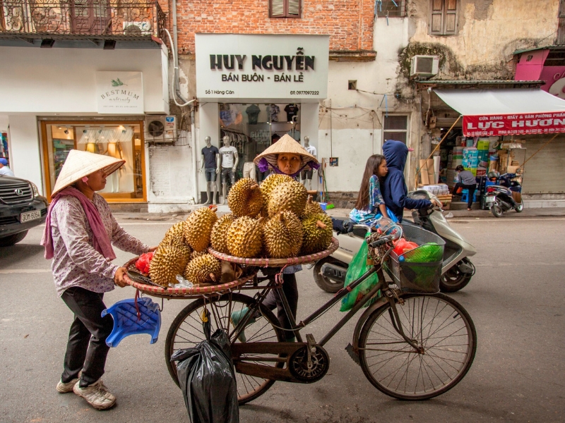 Top 10 fruits exotiques du Vietnam à découvrir absolument