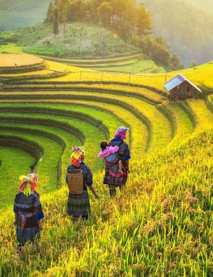 Vietnam en septembre : contemplation de la quintessence automnale