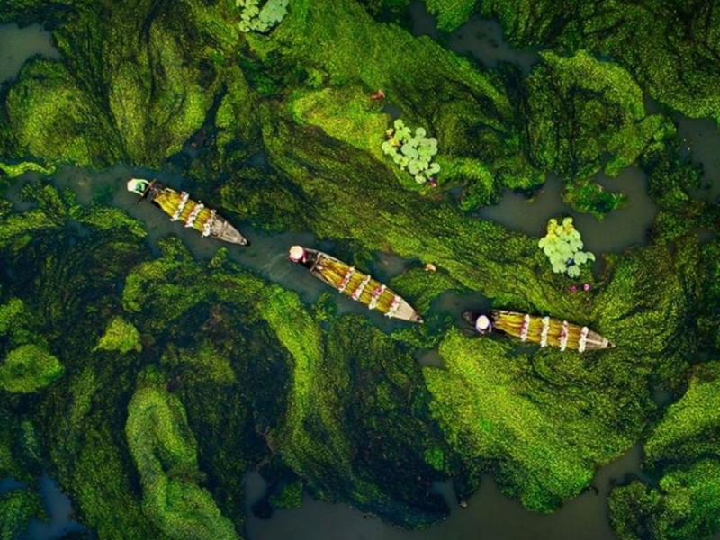 Le Delta du Mékong : Guide complet au grenier du riz du Vietnam