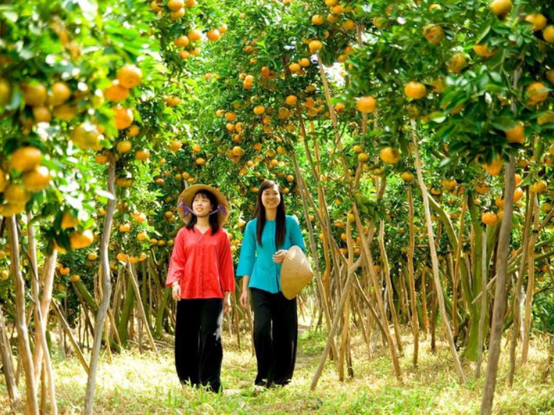 Fruits des vergers du Delta du Mékong