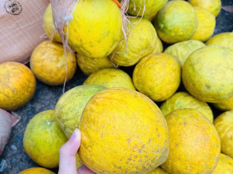 Voyage humanitaire avec Horizon Vietnam