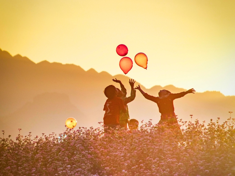 Ha Giang: Entdecken Sie die einzigartige Schönheit während der Buchweizenblüte