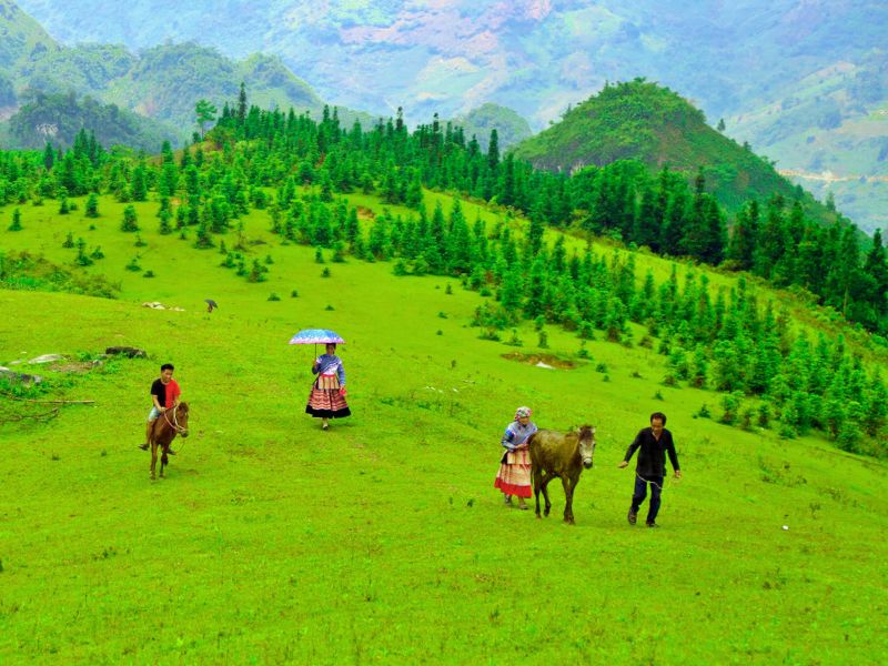 Bac Ha – Begegnung mit den ethnischen Minderheiten Vietnams