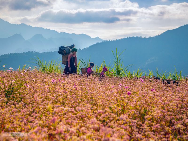 Hà Giang: Das geheime Juwel des Nordens von Vietnam