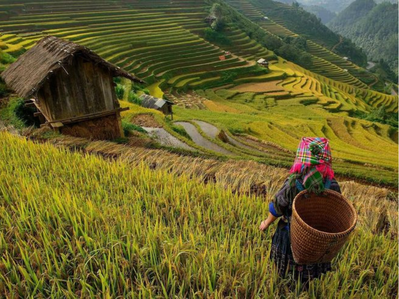 Pu Luong Vietnam: Vollständiger Reiseführer zur Entdeckung des Naturreservats