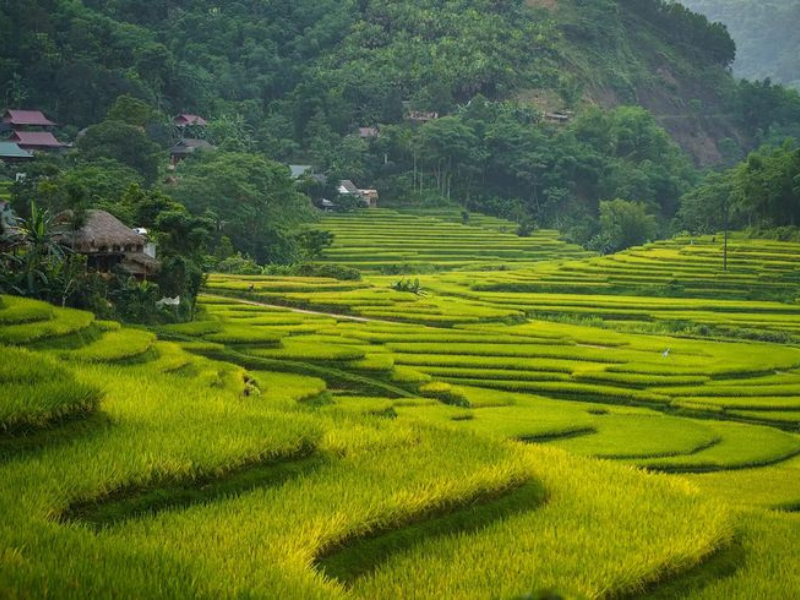 Aktivitäten und Sehenswürdigkeiten in Pu Luong, Vietnam