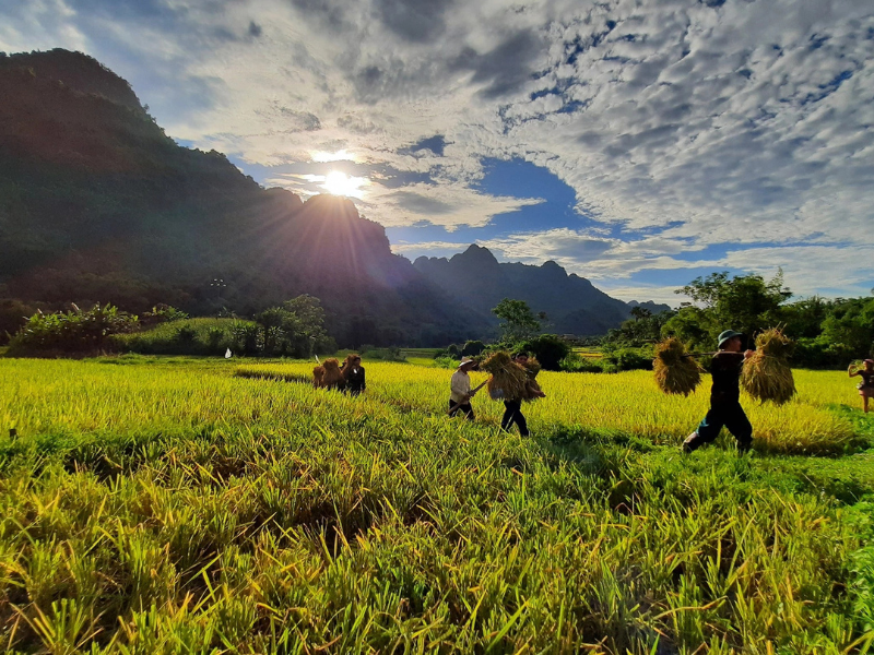 Lam Thuong – das verborgene und friedliche Tal von Yen Bai