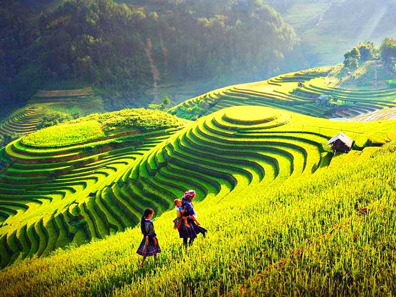 Sapa: Was tun, was sehen und wann reisen? Der komplette Reiseführer für Nordvietnam