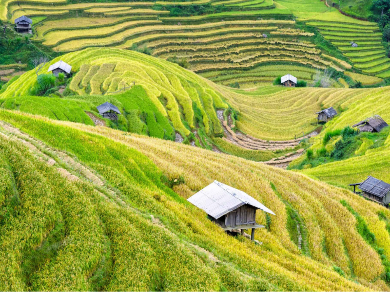 Mai Chau in 2 Tagen besuchen: Wandern, lokale Kultur und Übernachtung bei Einheimischen
