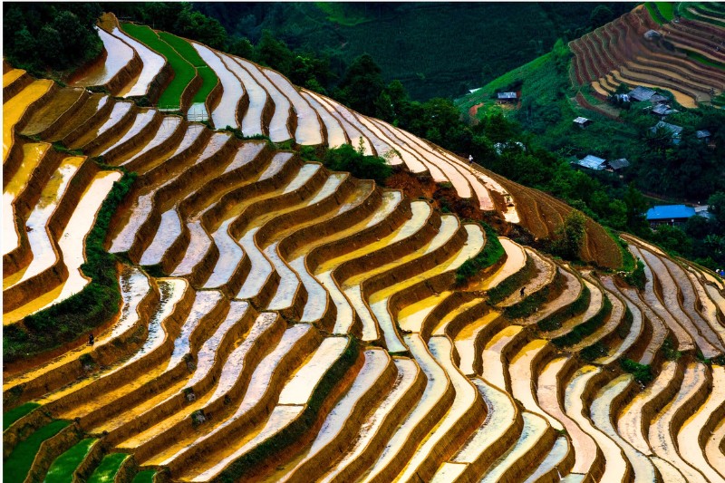Die Reisterrassen Vietnams: Eine lebendige Kulturlandschaft