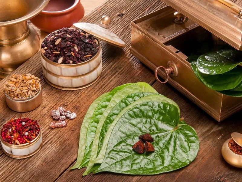 Der Betel im Vietnam