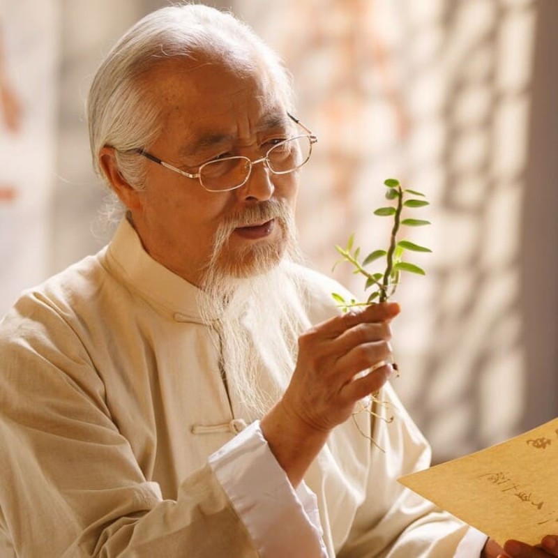 Vietnamesische traditionelle Medizin