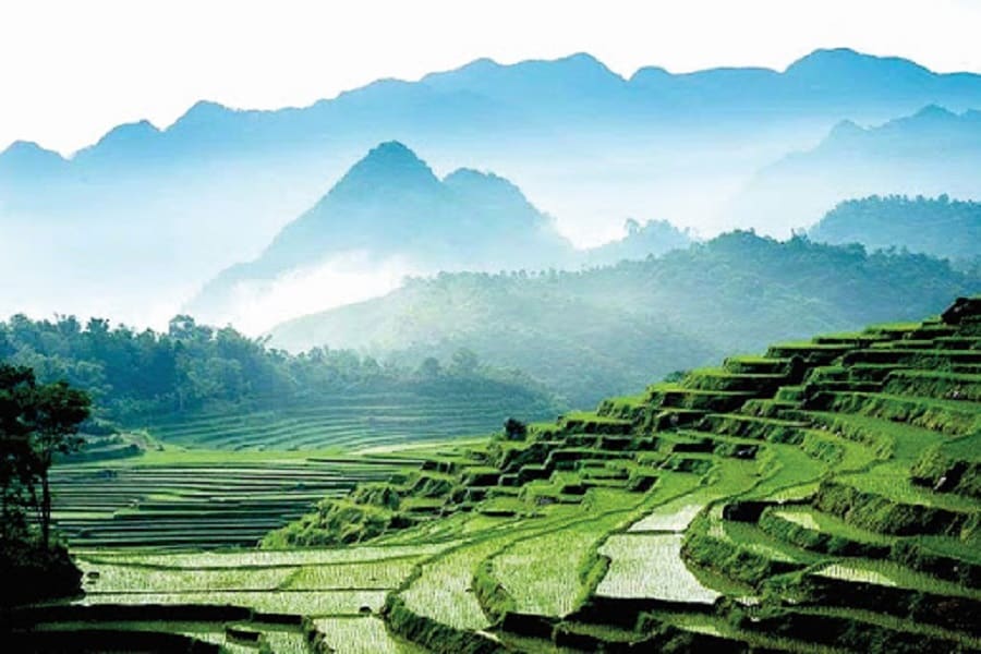 Die fünf besten Nationalparks Vietnams