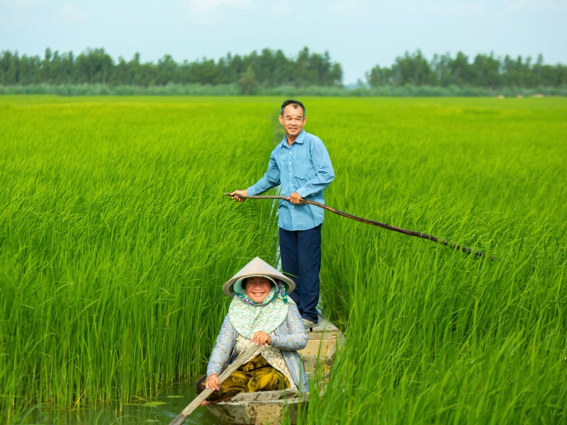 Reis in Vietnam: Eine uralte und heilige Kultur