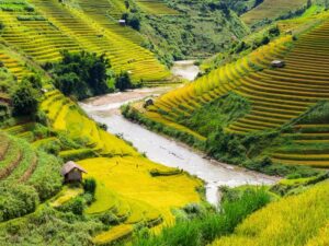 Vietnam im August: Praktischer Leitfaden für eine gelungene Reise