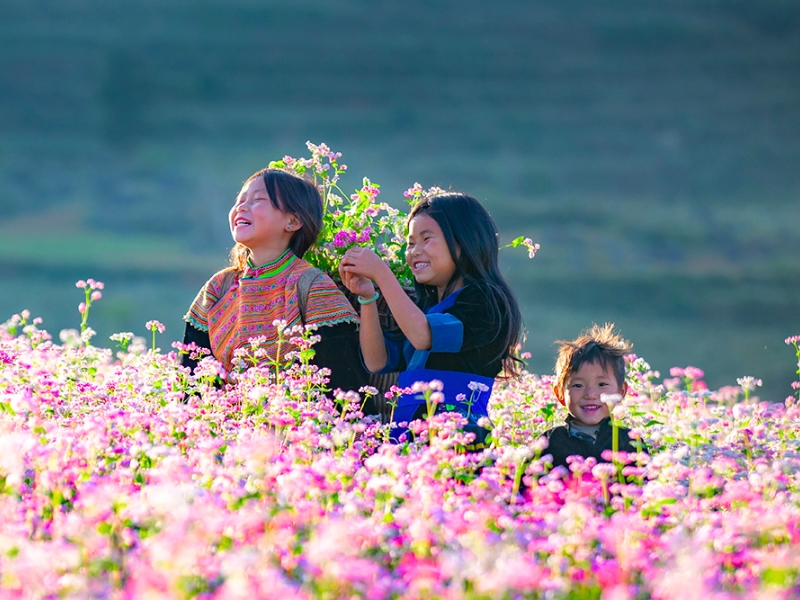 Vietnam im Oktober: Alles, was Sie für Ihre Reise wissen sollten